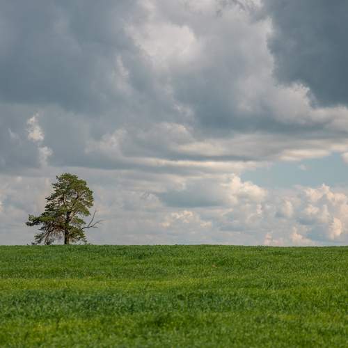 Photo #12760033
