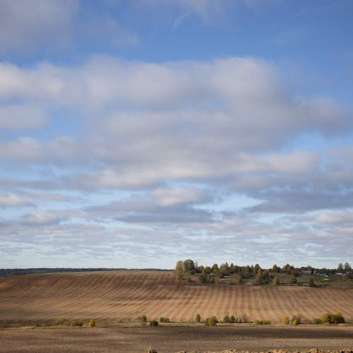 Photo #12760067