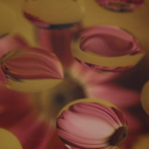 Photo #12760096