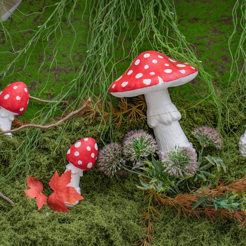 Photo #12760208