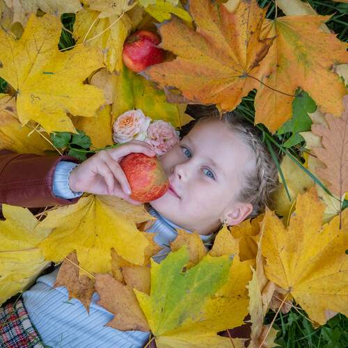 Photo #12760338