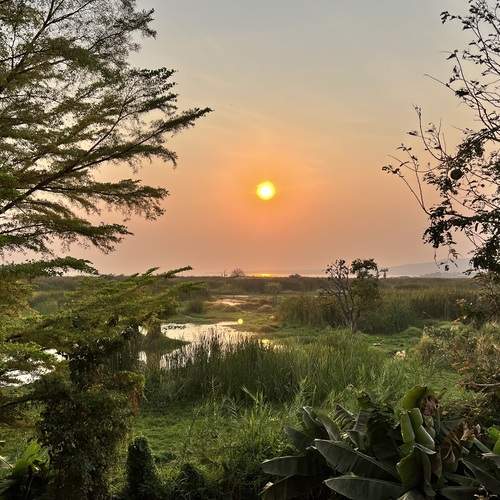 Photo #12760583
