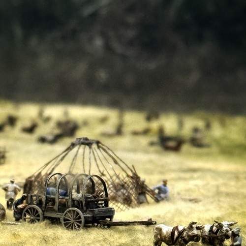 Photo #12760807