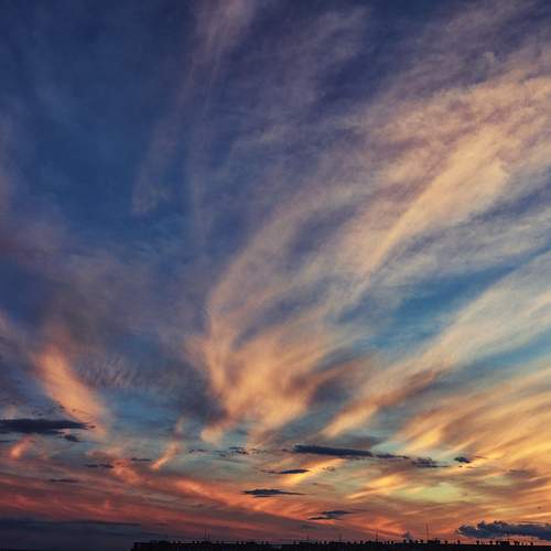 Photo #12760903
