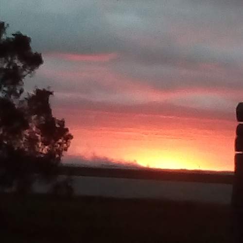 Photo #12761392