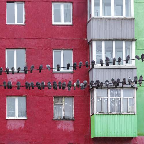 Photo #12761444