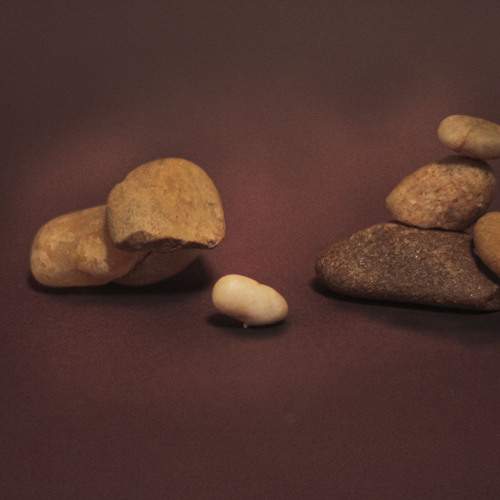 Photo #12761543