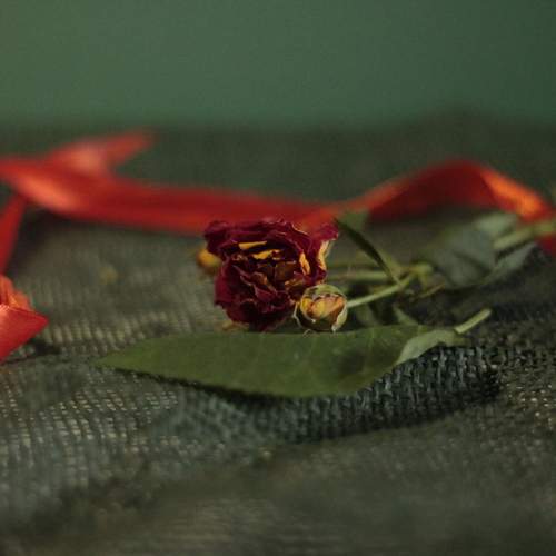 Photo #12761551