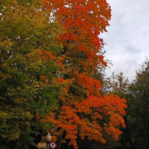 Photo #12761629