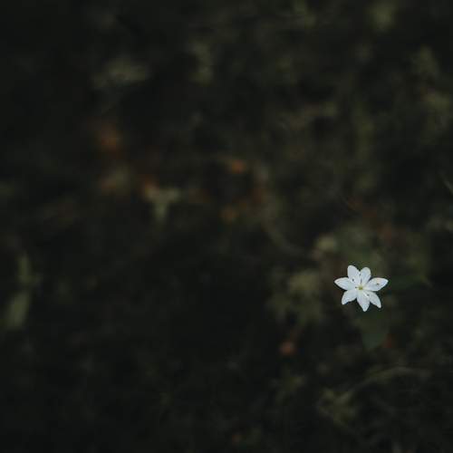 Photo #12761741