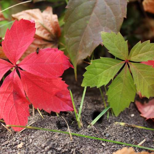 Photo #12761780