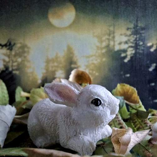 Зайка