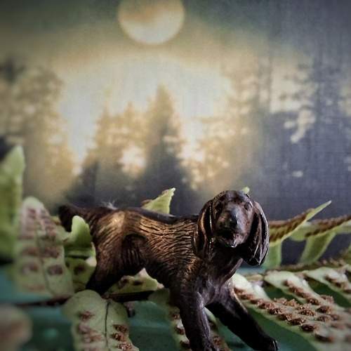 Photo #12761902