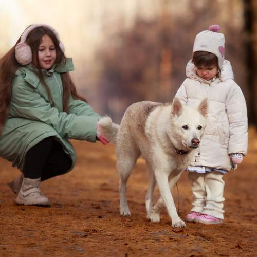Photo #12762100