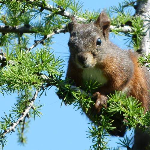 Photo #12762316