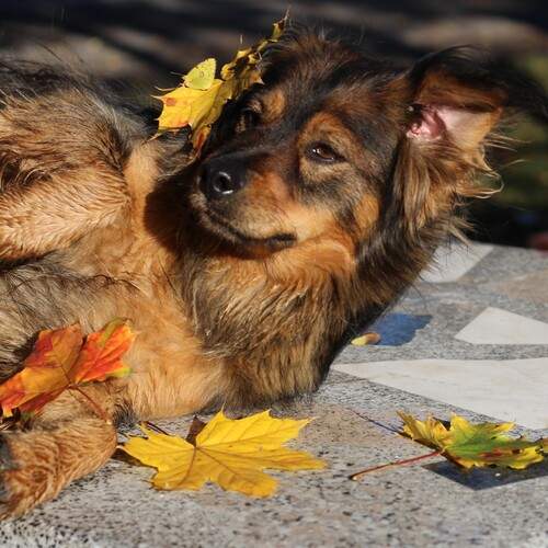 Photo #12762426