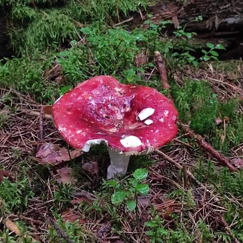 Photo #12762693