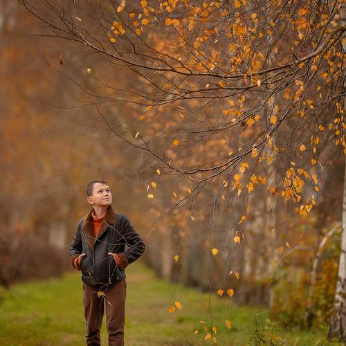Photo #12762760