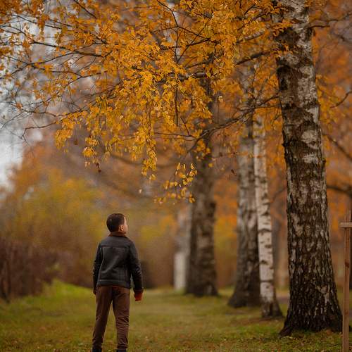 Photo #12762776