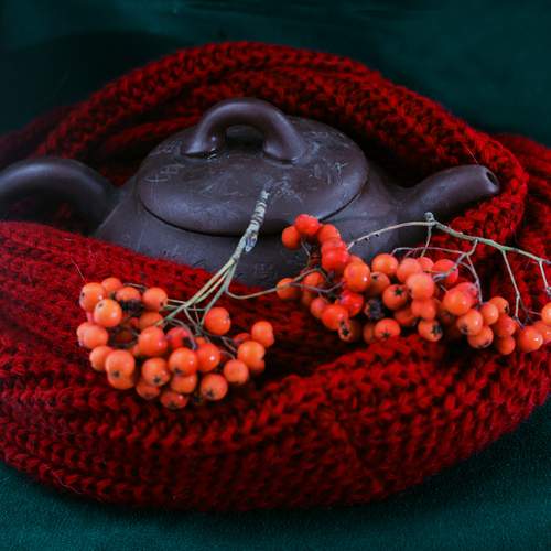 Photo #12762860