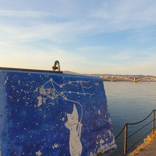 Photo #12763273