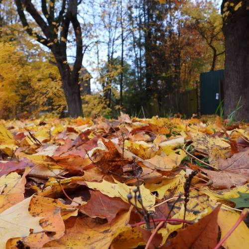 Photo #12763429