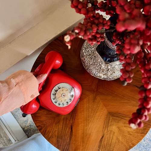 Photo #12763683