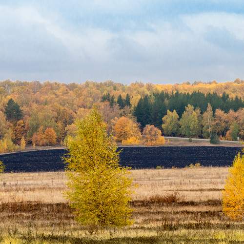 Осенняя пора.
