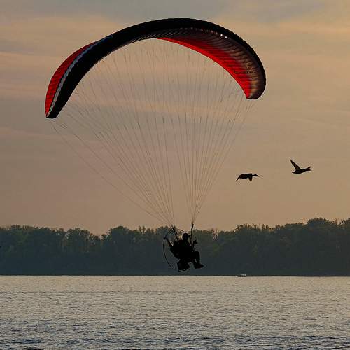 Photo #12763906