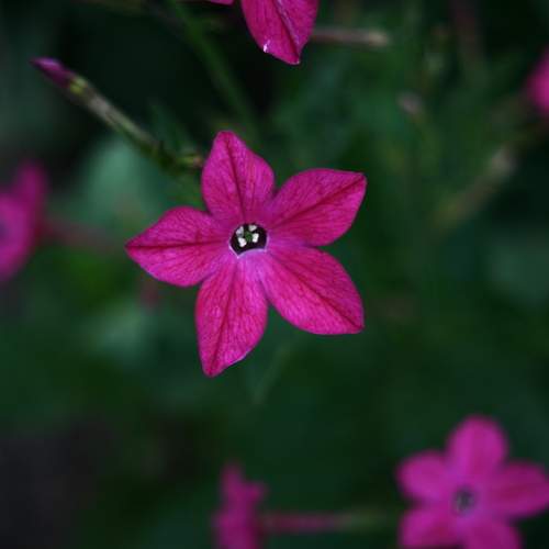 Photo #12763952
