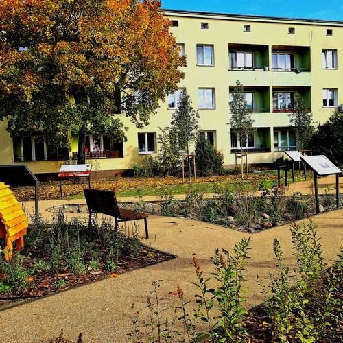 Urban Oasis in Autumn