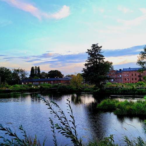Serene Green Waterfront
