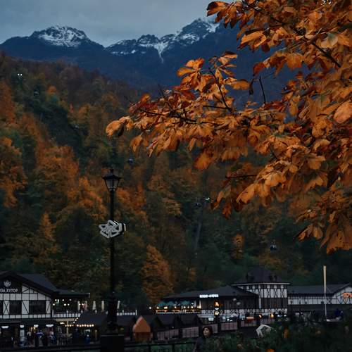 Photo #12764294