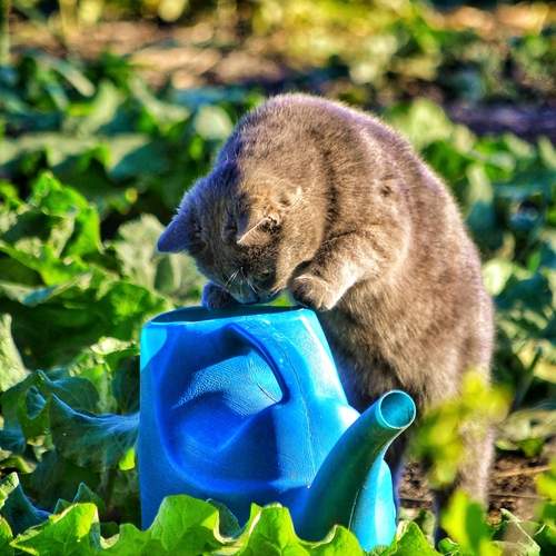 Photo #12764308