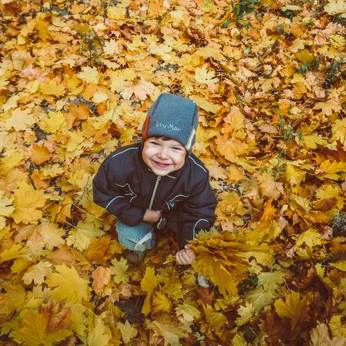 Photo #12764355