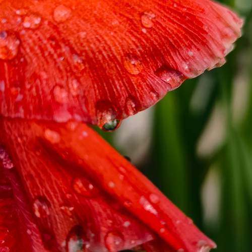 Photo #12764371