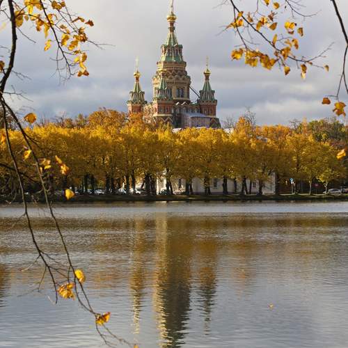 Photo #12764588
