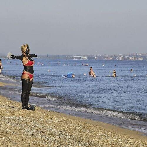 Photo #12764601