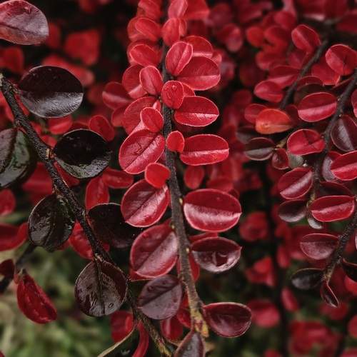 Photo #12764615