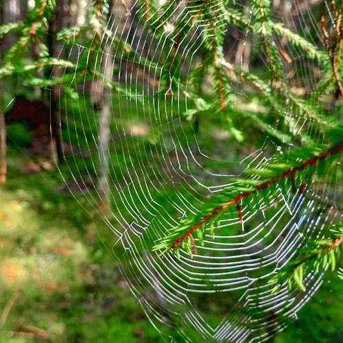 Фотография #12764630