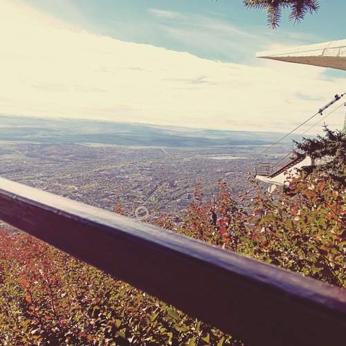 Photo #12764665