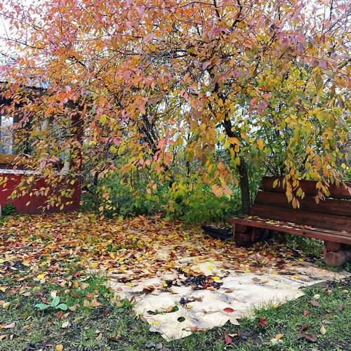 Photo #12764668