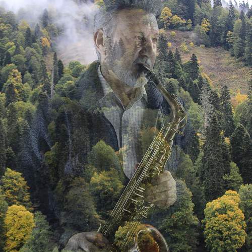 Photo #12764910