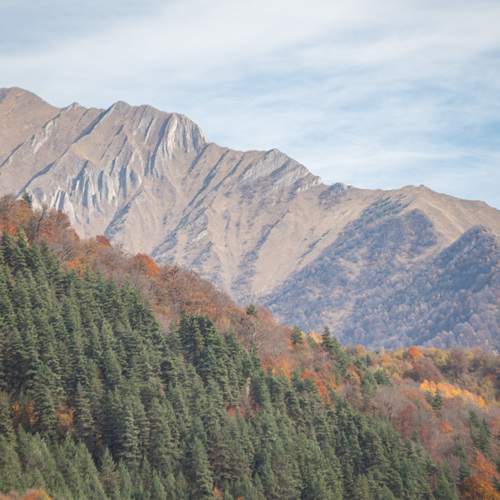 Фотография #12764938