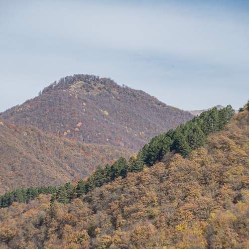 Фотография #12764940