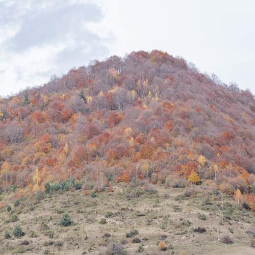 Фотография #12764942