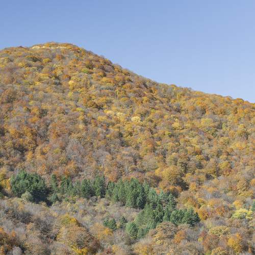 Фотография #12764943