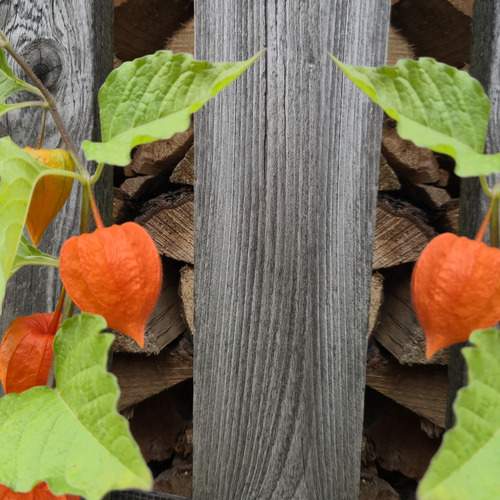 Photo #12764976