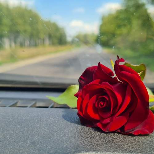 Photo #12765195