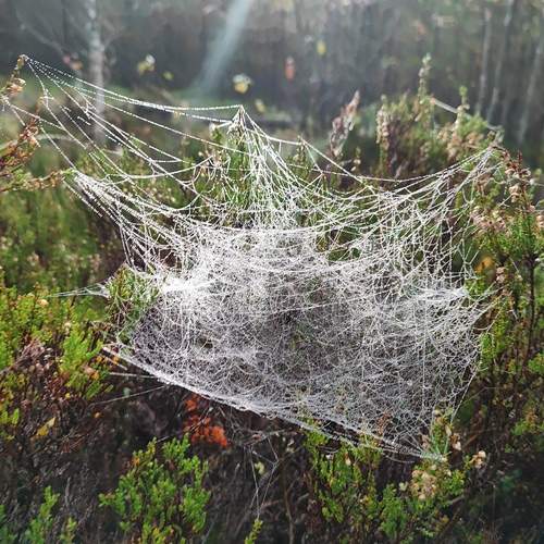 Photo #12765262